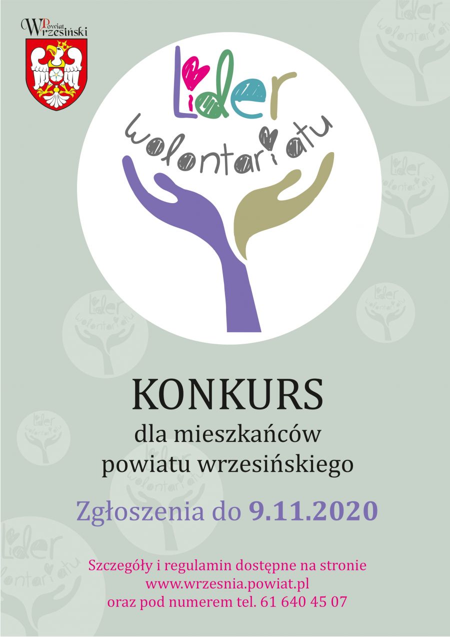 Plakat Lider wolontariatu